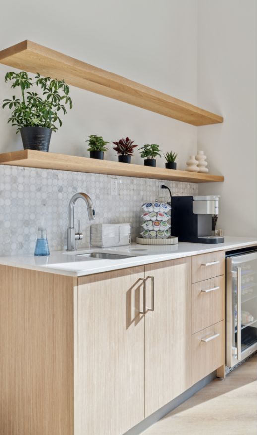 A modern kitchenette with light wood cabinets, a sink, a coffee maker, and a mini fridge features custom storage solutions. Two wooden shelves above hold potted plants and a decorative object. The backsplash has a hexagonal tile pattern.